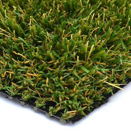 Native Grass Swatch Turf