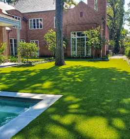 Backyard artificial grass lawn