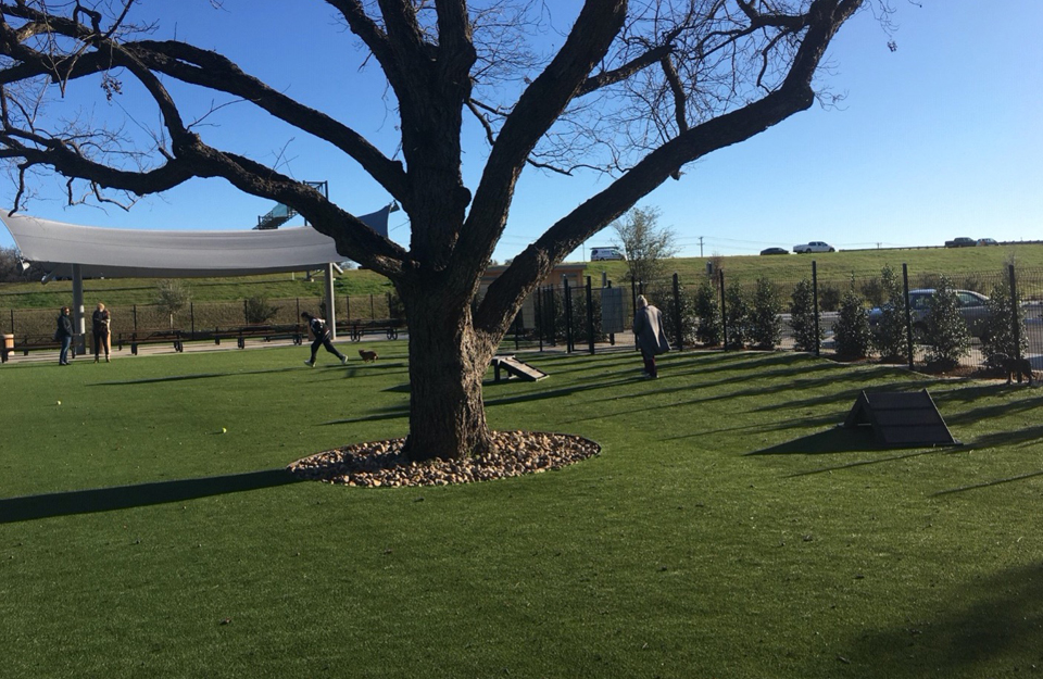 Bark Park at Bear Creek Park