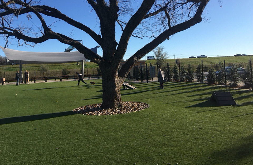 Bark Park at Bear Creek Finished Project