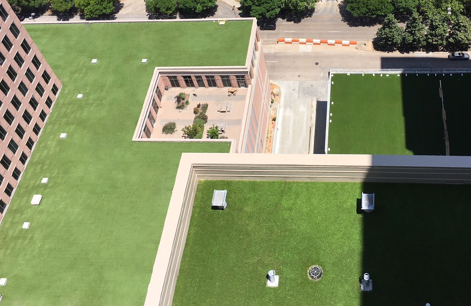 Rooftop turf at CBRE's Headquarter