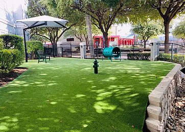 Dog park installed with artificial grass