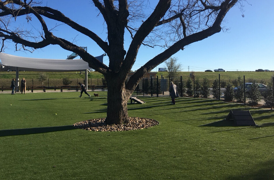 Pet Park with Artificial Turf